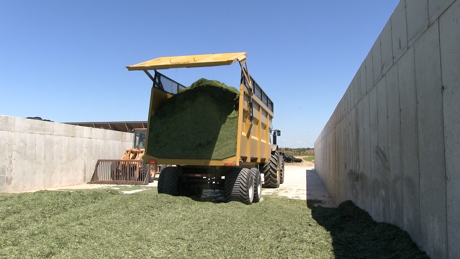 A backshot of the 20 ton silage dumper trailer dumping hay silage