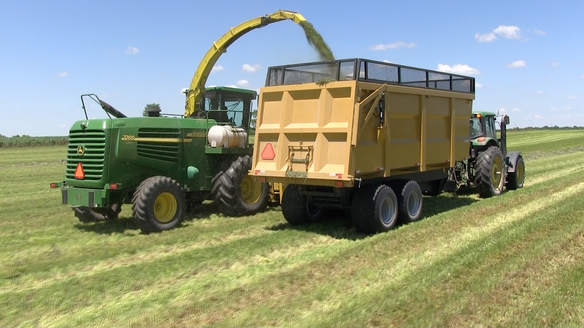 A back shot of the 20 ton dumper trailer getting hay silage loaded into it while being hauled by a tractor