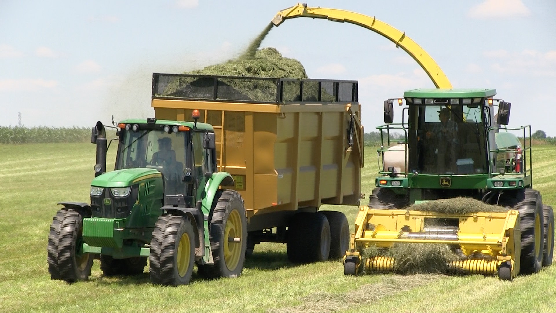 An image of the 20 ton dumper trailer getting hay silage loaded into it
